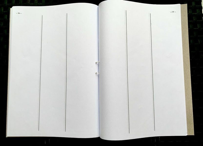 Книга обліку розрахункових операцій із засобом контролю, Додаток №1, з голограмою, 80 сторінок, А4, папір офсетний, Книга КОРО 3735061 фото