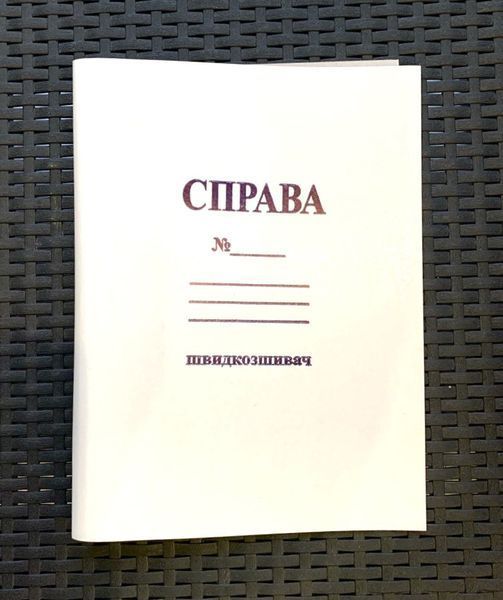 Папка ДЕЛО Быстросшиватель А4 2809378 фото