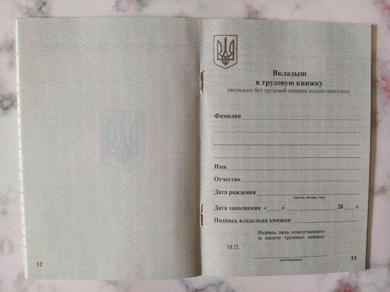 Вложишь в трудовую книжку 2835256 фото