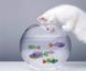 Інтерактивна рибка Немо помаранчева Robofish з підсвічуванням, РобоРибка (1шт/упаковка), Іграшка для ванної Рибка 3377721 фото 4