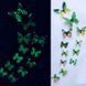 Объемные 3D бабочки для декора зеленые цветные светящиеся в темноте 1725659 фото 1